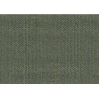 19006 140 Source Squamarina